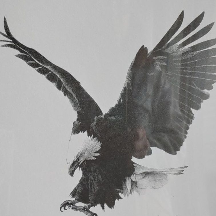 Eagle USA Bird Patriot Print Art Matte Pen Ink Engraving Wildlife Animal Prey Flight Signed Susan Holden 1975