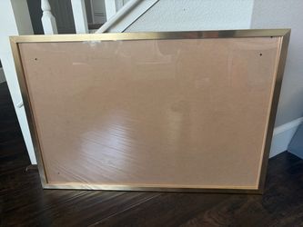 20 x 30 Gold frame with Plexiglass
