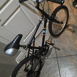 20-inch Bike, New Chain 