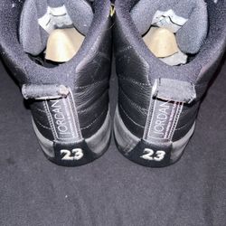 Air Jordan 12 Retro Masters
