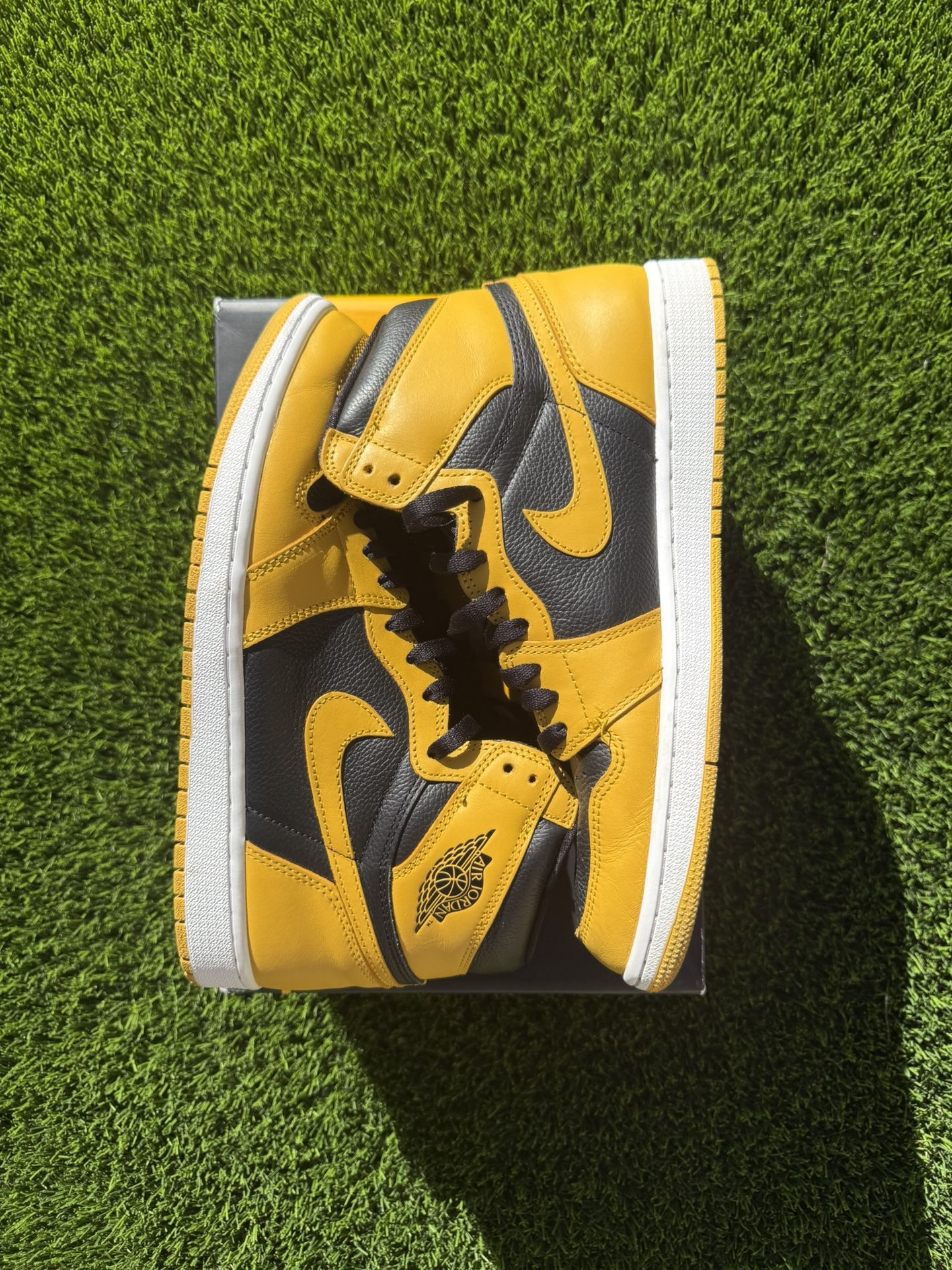 Air jordan 1 Pollen