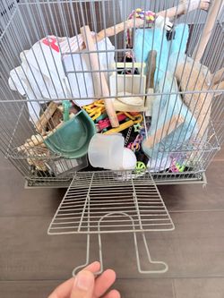Cage and bird toys