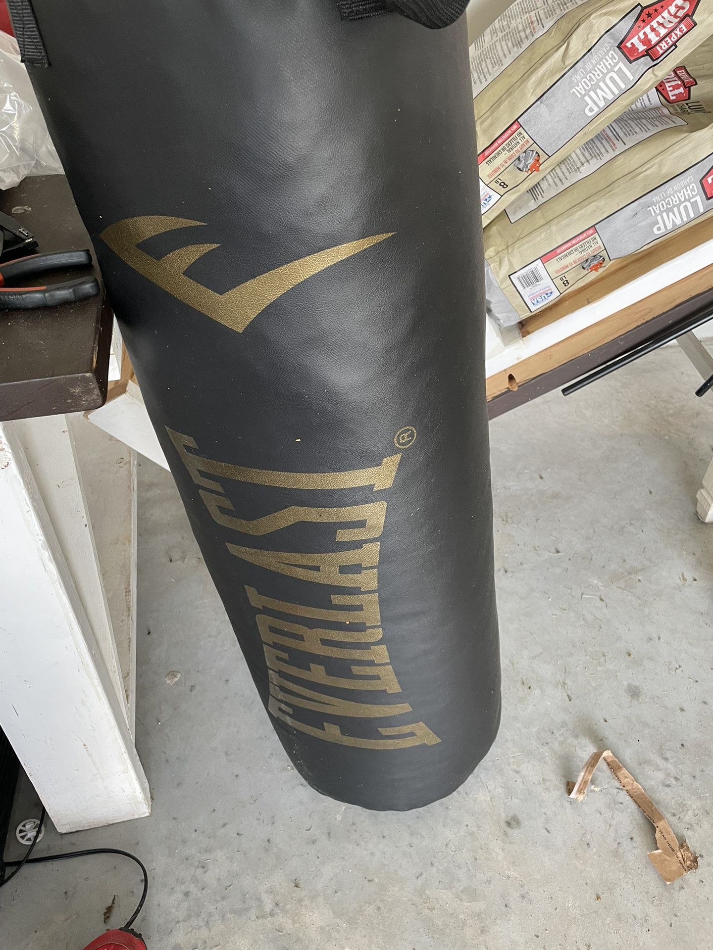 Everlast Punching Bag With Speed AH