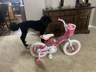 New JOYSTAR kids Bike 