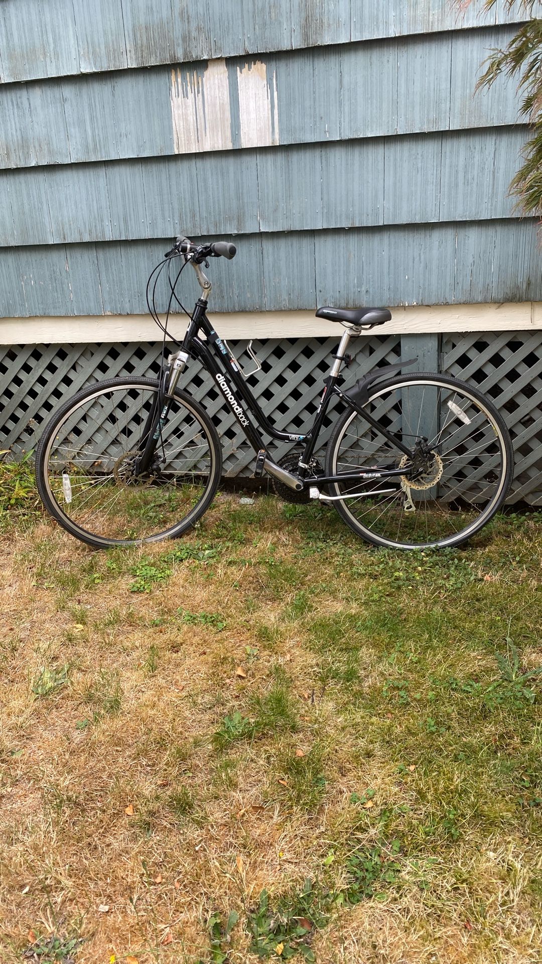 Diamondback