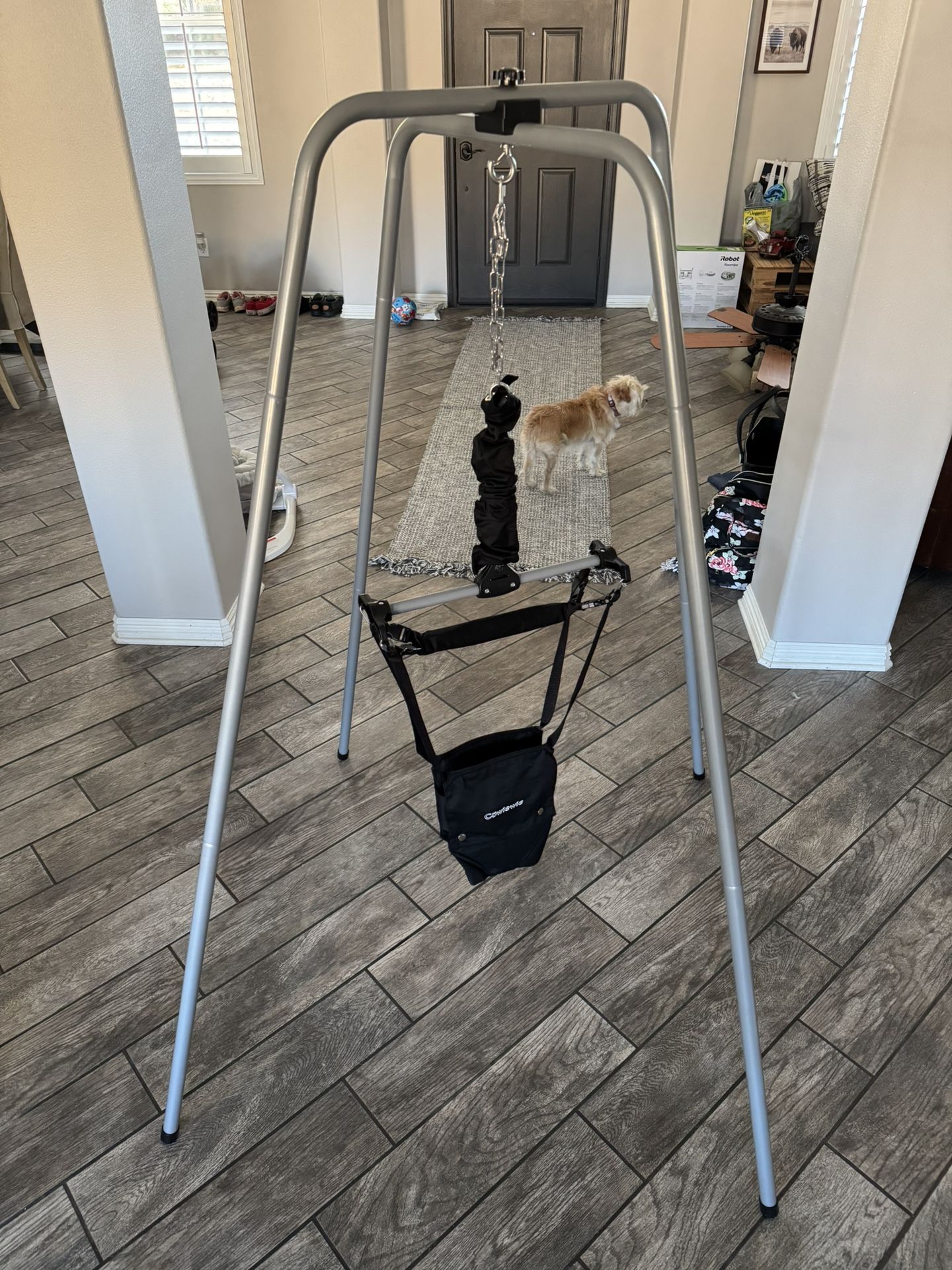 FREE Baby Bouncer Swing Jumper