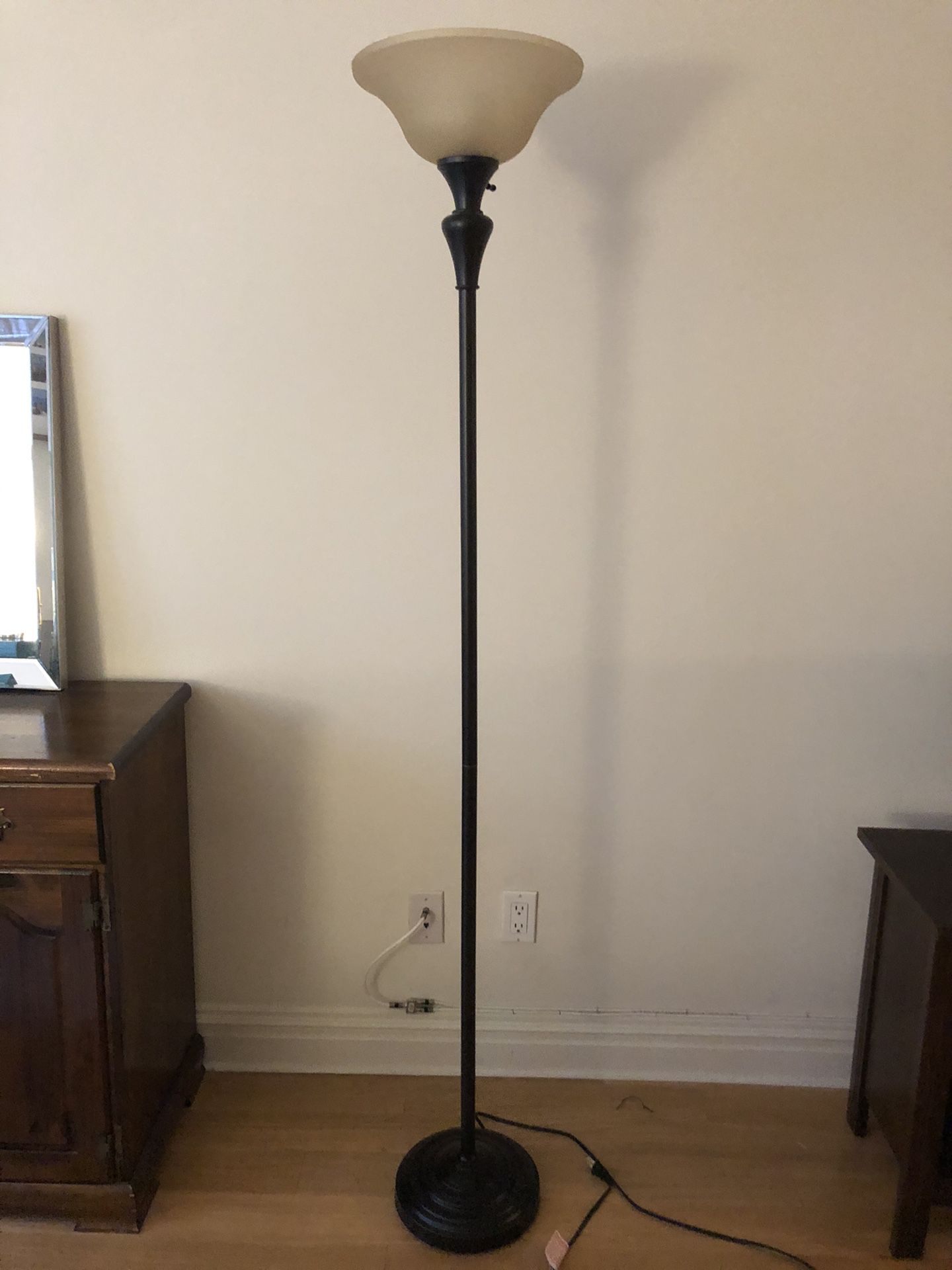 Tall Bronze Floor Lamp