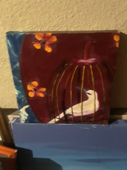 Bird in cage $10.00 cash only (serious buyers)