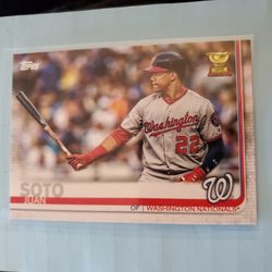 Juan Soto Rookie Cup Baseball Card Variation