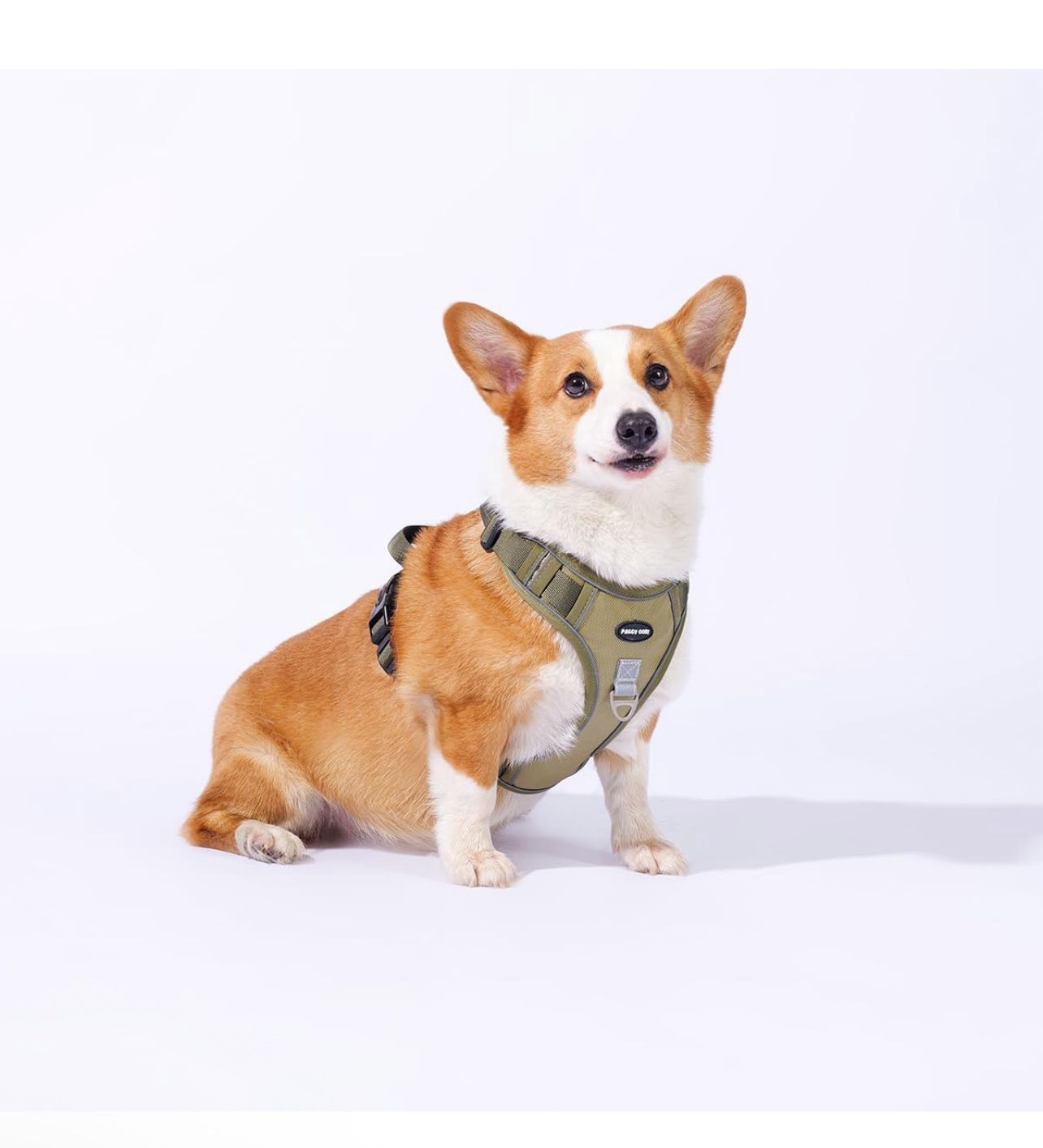 Adjustable Oxford Dog Harness No Pull and Leash Set Walking Pet Harness with Easy Control Handle for