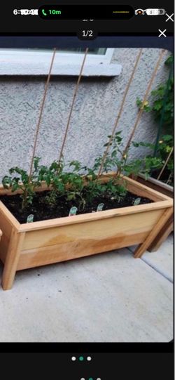 New cedar planters