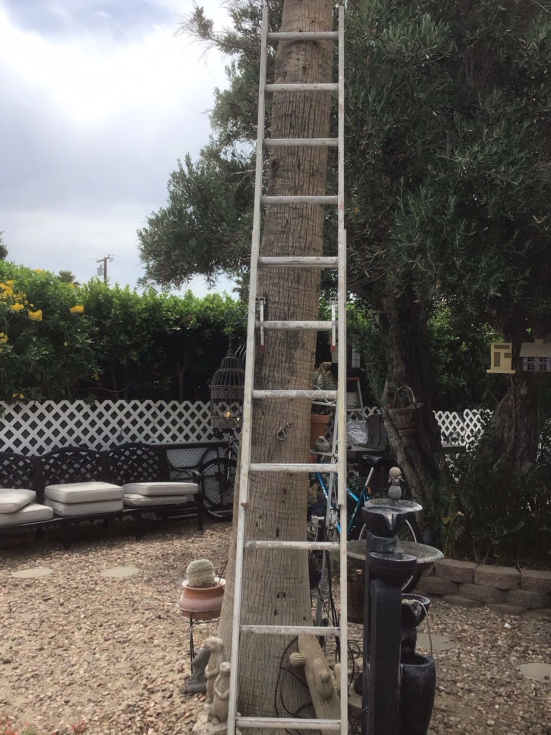 Ladder