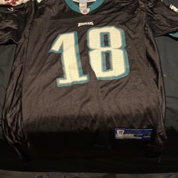 Large Maclin NFL Jersey