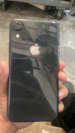 iPhone XR