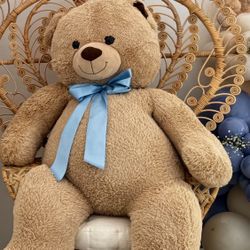 Teddy bear 
