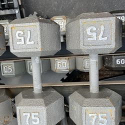 75lb Hex Iron Dumbbell Set Weights 