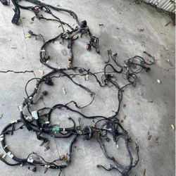 Mustang Gt Manual Interior Harness 2005/2009 