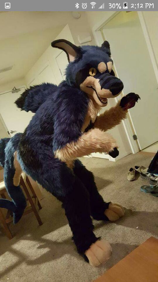 Fursuit