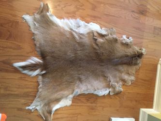 Deer hide