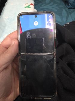 Motorola Razr + 2024