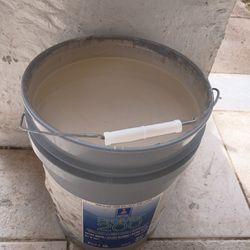 5 Gallon Paint 