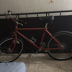 Got my car running again, bye bye bicycle