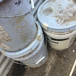 Paint And Electric Grass Cutter 