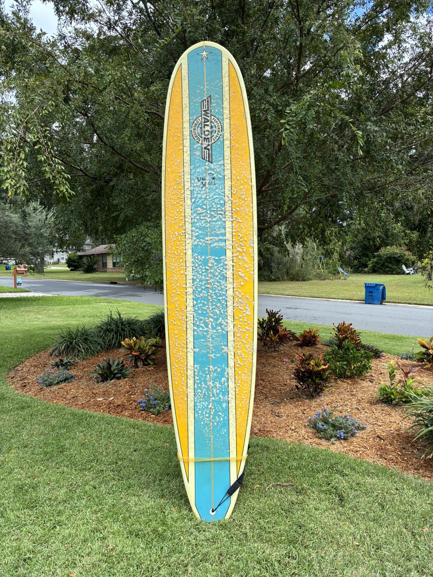 Walden Magic Model Longboard 