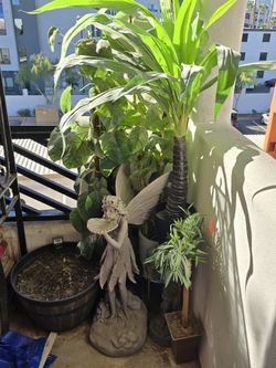 Fake Plants
