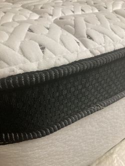 Queen Euro P. Top Firm