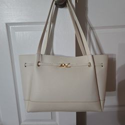 ALDO purse 