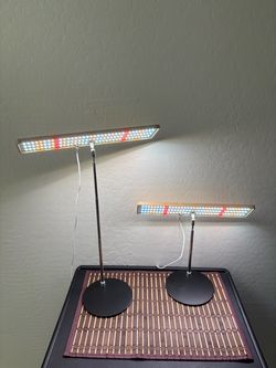 Full Spectrum (2 ) 11 in Adjustable Height Indoor LED Grow Light.