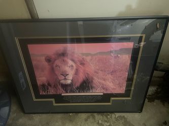Essence of survival lion art - framed