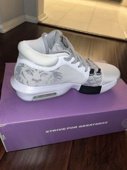 Nike LEBRON WITNESS VIII