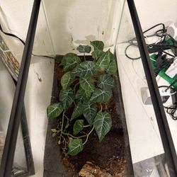 Small Tank For Fish Or Reptiles