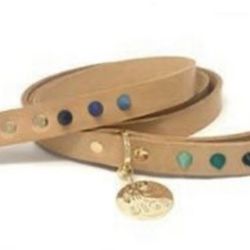 🐶 Nice Digs- Spike Leather Leash w/ Blue Velvet Bag 