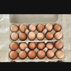 FRESH ORGANIC CAGE FREE EGGS