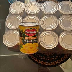 Pineapple Slices Case