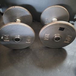 15lbs Dumbells 