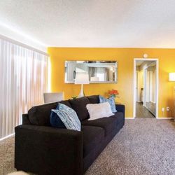 queen sofa bed around 7-8 feet long