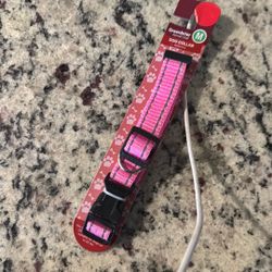 Dog Collar Medium 