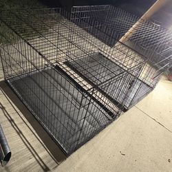 2 - XXL Dog Crates  