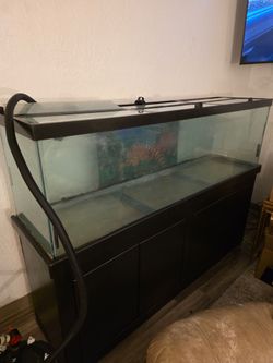 100 gallon fish tank