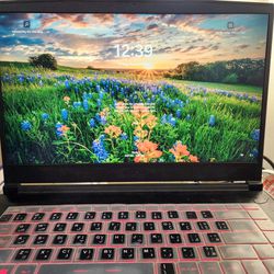 MSI GF63 Thin i5 GTX 1650 MaxQ 8GB/256GB Gaming Laptop