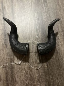 Black Horns