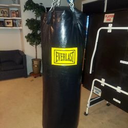 New Everlast Punching Bag