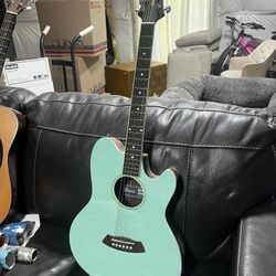 Ibanez Talman Guitar