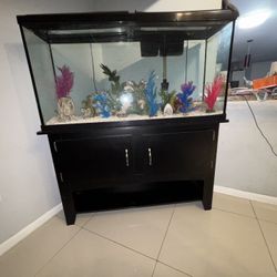 Fish Tank With Cleaning Supplies 