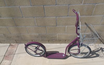 16" Amish  Kick  Scooter