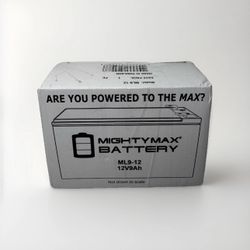 ML9-12 - 12 Volt 9 AH, F2 Terminal, Rechargeable SLA AGM Battery,Pack of 1